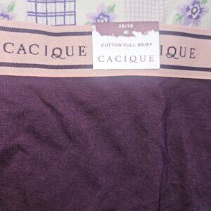 Cacique Women's Underwear 26/28